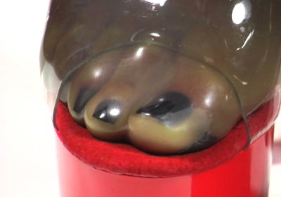 LATEX LEX